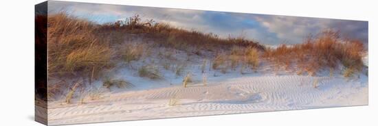 Dunes Light-Katherine Gendreau-Stretched Canvas