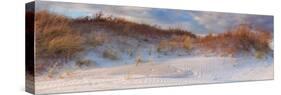 Dunes Light-Katherine Gendreau-Stretched Canvas