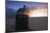 Dunes Natural Park, Fuerteventura, Canary Islands-Peter Thompson-Mounted Photographic Print