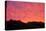 Dunes, nature, grass, summer, evening-Nora Frei-Stretched Canvas