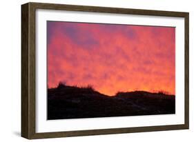 Dunes, nature, grass, summer, evening-Nora Frei-Framed Photographic Print