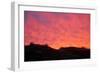 Dunes, nature, grass, summer, evening-Nora Frei-Framed Photographic Print