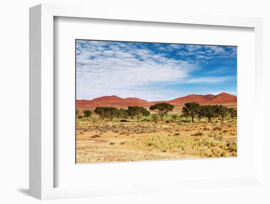 Dunes of Namib Desert, Sossufley, Namibia-DmitryP-Framed Photographic Print