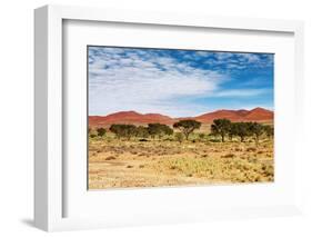 Dunes of Namib Desert, Sossufley, Namibia-DmitryP-Framed Photographic Print