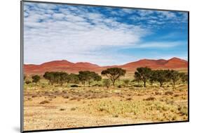 Dunes of Namib Desert, Sossufley, Namibia-DmitryP-Mounted Photographic Print