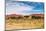 Dunes of Namib Desert, Sossufley, Namibia-DmitryP-Mounted Photographic Print