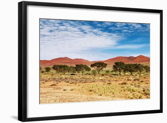 Dunes of Namib Desert, Sossufley, Namibia-DmitryP-Framed Photographic Print