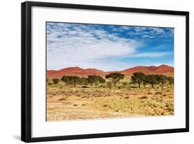 Dunes of Namib Desert, Sossufley, Namibia-DmitryP-Framed Photographic Print