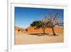 Dunes of Namib Desert, Sossufley, Namibia-DmitryP-Framed Photographic Print