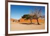 Dunes of Namib Desert, Sossufley, Namibia-DmitryP-Framed Photographic Print