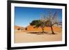 Dunes of Namib Desert, Sossufley, Namibia-DmitryP-Framed Photographic Print