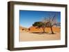 Dunes of Namib Desert, Sossufley, Namibia-DmitryP-Framed Photographic Print