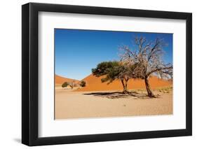 Dunes of Namib Desert, Sossufley, Namibia-DmitryP-Framed Photographic Print