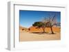 Dunes of Namib Desert, Sossufley, Namibia-DmitryP-Framed Photographic Print