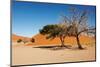 Dunes of Namib Desert, Sossufley, Namibia-DmitryP-Mounted Photographic Print