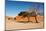 Dunes of Namib Desert, Sossufley, Namibia-DmitryP-Mounted Photographic Print