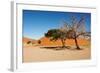 Dunes of Namib Desert, Sossufley, Namibia-DmitryP-Framed Photographic Print