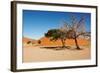 Dunes of Namib Desert, Sossufley, Namibia-DmitryP-Framed Photographic Print