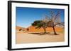 Dunes of Namib Desert, Sossufley, Namibia-DmitryP-Framed Photographic Print