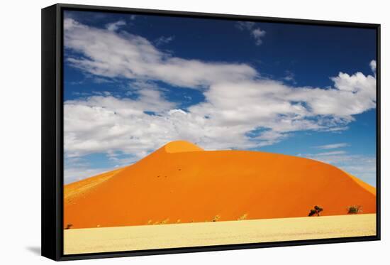 Dunes of Namib Desert-DmitryP-Framed Stretched Canvas