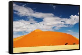 Dunes of Namib Desert-DmitryP-Framed Stretched Canvas