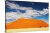 Dunes of Namib Desert-DmitryP-Stretched Canvas