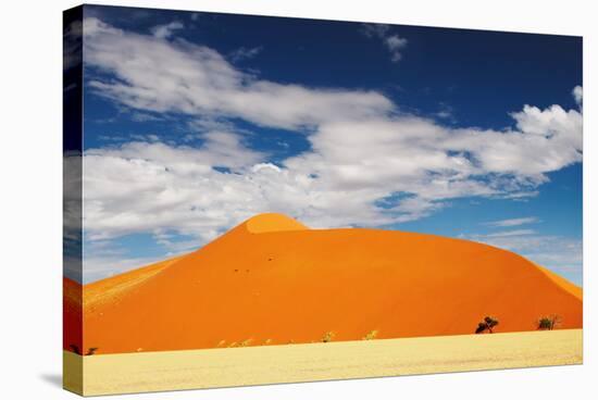 Dunes of Namib Desert-DmitryP-Stretched Canvas