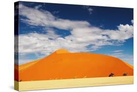 Dunes of Namib Desert-DmitryP-Stretched Canvas