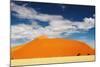 Dunes of Namib Desert-DmitryP-Mounted Photographic Print