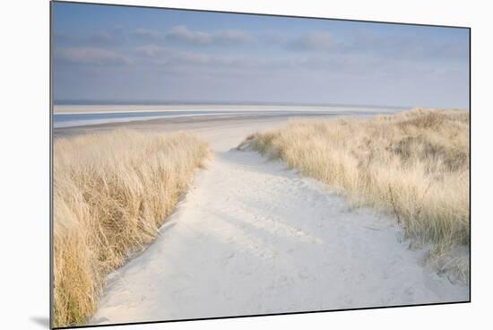 Dunes on Langeoog-Adam Brock-Mounted Giclee Print