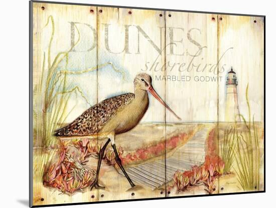 Dunes Shorebird-Mary Escobedo-Mounted Art Print