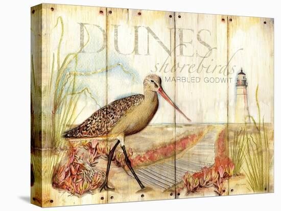 Dunes Shorebird-Mary Escobedo-Stretched Canvas