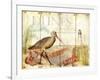 Dunes Shorebird-Mary Escobedo-Framed Art Print