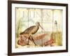 Dunes Shorebird-Mary Escobedo-Framed Art Print