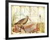 Dunes Shorebird-Mary Escobedo-Framed Art Print