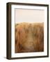 Dunes with Seagulls 6-Ian Winstanley-Framed Photographic Print