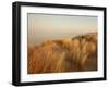 Dunes with Seagulls 7-Ian Winstanley-Framed Photographic Print