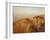 Dunes with Seagulls 7-Ian Winstanley-Framed Photographic Print