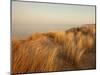 Dunes with Seagulls 7-Ian Winstanley-Mounted Photographic Print