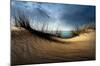 Dunes-null-Mounted Art Print