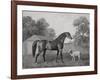 Dungannon, Engraved by George Townley Stubbs (1756-1815) Pub. 1794 (Etching)-George Stubbs-Framed Giclee Print