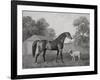 Dungannon, Engraved by George Townley Stubbs (1756-1815) Pub. 1794 (Etching)-George Stubbs-Framed Giclee Print