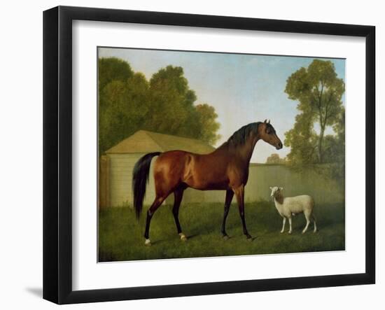 Dungannon, the Property of Colonel O'Kelly, Painted in a Paddock with a Sheep, 1793-George Stubbs-Framed Giclee Print