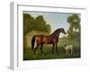 Dungannon, the Property of Colonel O'Kelly, Painted in a Paddock with a Sheep, 1793-George Stubbs-Framed Giclee Print