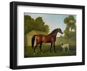 Dungannon, the Property of Colonel O'Kelly, Painted in a Paddock with a Sheep, 1793-George Stubbs-Framed Giclee Print