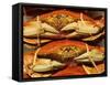 Dungeness Crab at Pike Place Public Market, Seattle, Washington State, USA-David Barnes-Framed Stretched Canvas