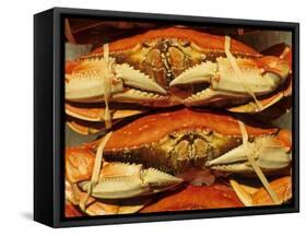 Dungeness Crab at Pike Place Public Market, Seattle, Washington State, USA-David Barnes-Framed Stretched Canvas