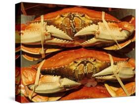 Dungeness Crab at Pike Place Public Market, Seattle, Washington State, USA-David Barnes-Stretched Canvas