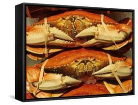 Dungeness Crab at Pike Place Public Market, Seattle, Washington State, USA-David Barnes-Framed Stretched Canvas