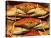 Dungeness Crab at Pike Place Public Market, Seattle, Washington State, USA-David Barnes-Stretched Canvas